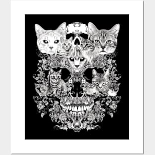 Cat Skull Anatomy Posters and Art